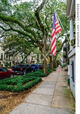 Residential street in Savannah Residential street in Savannah 126464848