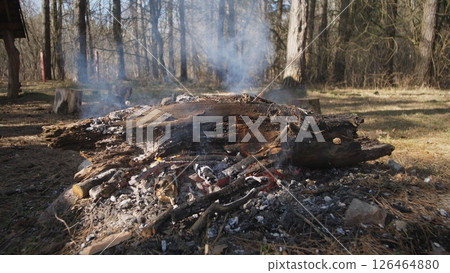 Warm flames flicker as smoke rises from a campfire in a peaceful forest, creating a cozy atmosphere in the twilight hours, surrounded by tall trees. Warm flames flicker as smoke rises from a campfire in a peaceful forest, creating a cozy atmosphere in the twilight hours, surrounded by tall trees. 126464880