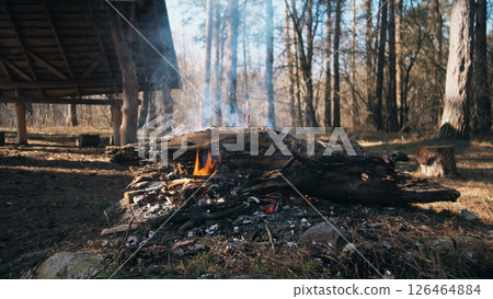 A vibrant campfire crackles, sending smoke into the air as it warms the outdoor space in a peaceful forest, nestled among tall, green trees on a beautiful day. 126464884