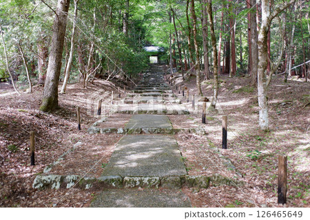 京都府常勝寺的參道 126465649