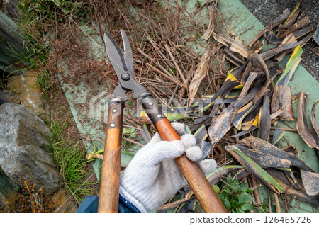 A gardener cutting cut branches and leaves into small pieces A gardener cutting cut branches and leaves into small pieces 126465726