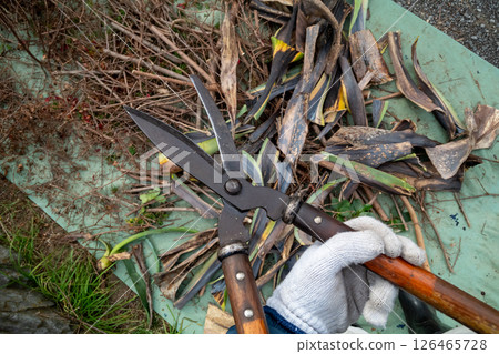 A gardener cutting cut branches and leaves into small pieces 126465728
