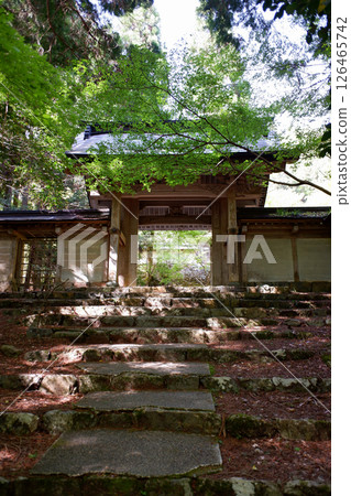 京都府 上勝小寺 長文 京都府 上勝小寺 長文 126465742