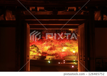 Oshu City, Iwate Prefecture Esashi Fujiwara no Sato Autumn Leaves Illuminated 126465752