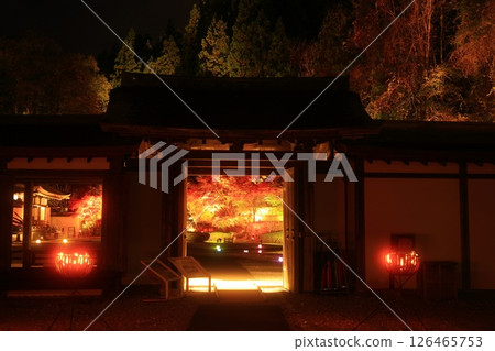 Oshu City, Iwate Prefecture Esashi Fujiwara no Sato Autumn Leaves Illuminated Oshu City, Iwate Prefecture Esashi Fujiwara no Sato Autumn Leaves Illuminated 126465753