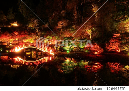 Oshu City, Iwate Prefecture Esashi Fujiwara no Sato Autumn Leaves Illuminated 126465761