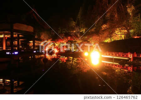 Oshu City, Iwate Prefecture Esashi Fujiwara no Sato Autumn Leaves Illuminated 126465762