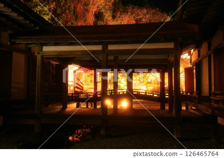 岩手縣奧州市江刺藤原之裡秋葉燈火通明 岩手縣奧州市江刺藤原之裡秋葉燈火通明 126465764