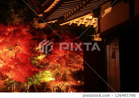 岩手縣奧州市江刺藤原之裡秋葉燈火通明 126465766