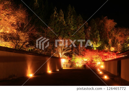 岩手縣奧州市江刺藤原之裡秋葉燈火通明 岩手縣奧州市江刺藤原之裡秋葉燈火通明 126465772