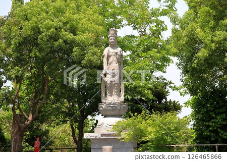 布施觀音像(千葉縣柏市) 布施觀音像(千葉縣柏市) 126465866