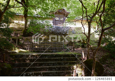 Kyoto Prefecture Josho-ji Temple Imperial Envoy Gate Kyoto Prefecture Josho-ji Temple Imperial Envoy Gate 126465891