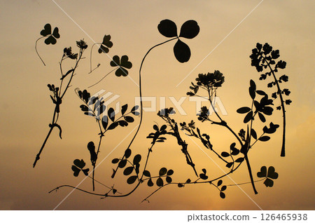 "Flying Leaf" A gravity-free world, floating leisurely in the endless sky. This is the only place where you can feel at ease. 126465938