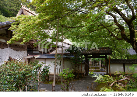 京都府常勝寺 京都府常勝寺 126466149