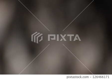 Background material with the theme of pine tree bark 126466171