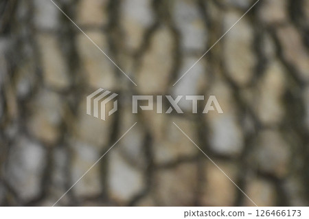 以鬆樹皮為主題的背景資料 126466173