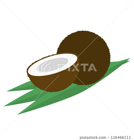 簡單的椰子插圖 126466211