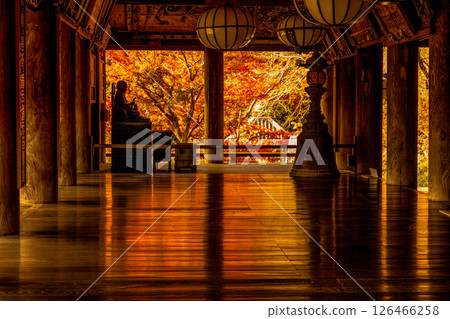 奈良，大和國秋葉，長谷寺大殿，德堂上人 126466258