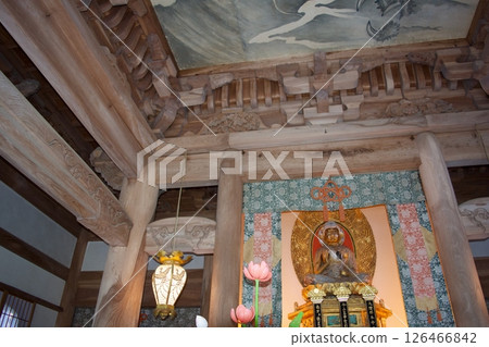 Ceiling painting at Unjuji Temple in early spring in Yasugi City Ceiling painting at Unjuji Temple in early spring in Yasugi City 126466842