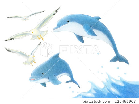 海鷗與跳躍的海豚－色鉛筆畫 126466908