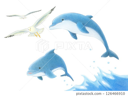 海鷗與跳躍的海豚－色鉛筆畫 126466910