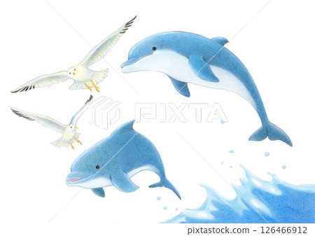海鷗與跳躍的海豚－色鉛筆畫 126466912