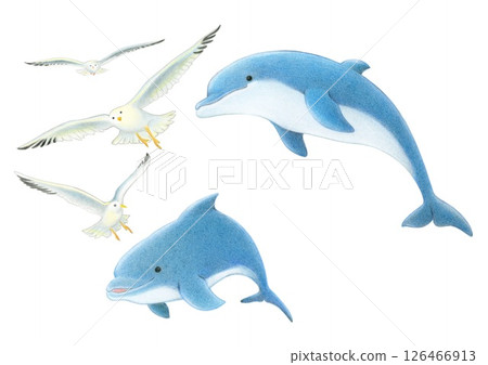 海鷗與跳躍的海豚－色鉛筆畫 126466913