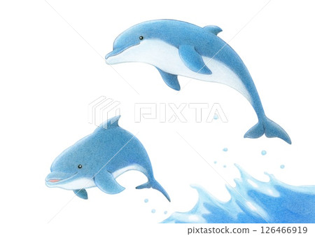 跳躍的海豚色鉛筆畫 126466919