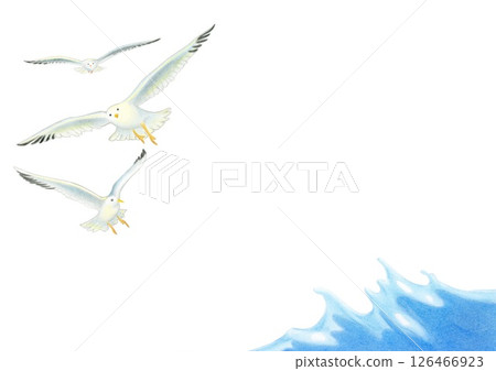 海鷗色鉛筆畫 126466923
