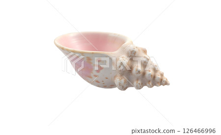A conch shell featured on a transparent background, reflecting the spirit of summer beach vacations and seashell aesthetics 126466996
