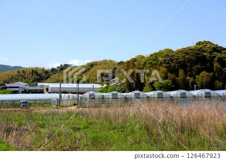 Plastic greenhouses and mountain scenery, Karatsu City, Saga Prefecture 126467923