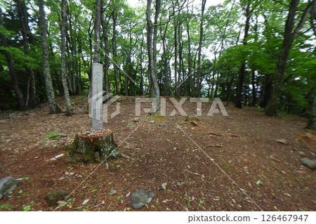 The remains of the main citadel of Odani Castle (Nagahama City, Shiga Prefecture) 126467947