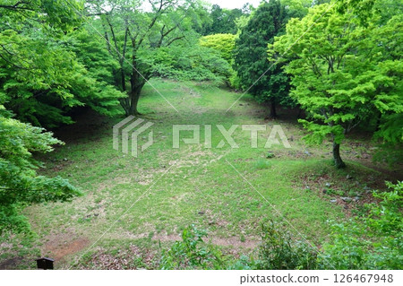 小谷城跡：俯瞰本城遺址的大廳遺址（滋賀縣長濱市） 126467948