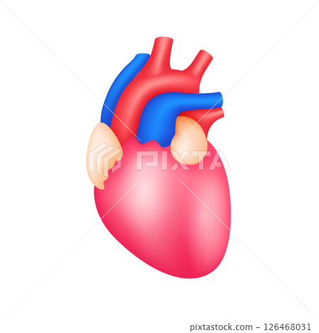 Human heart internal organ anatomy model isolated on white background. Science and medical concept. For ads about health care. 3D icon vector illustration. Human heart internal organ anatomy model isolated on white background. Science and medical concept. For ads about health care. 3D icon vector illustration. 126468031