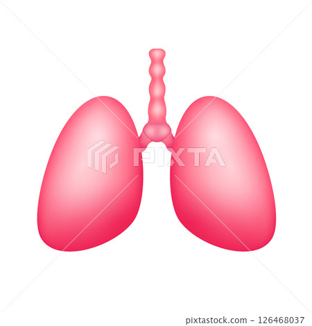 Human lung internal organ anatomy model isolated on white background. Science and medical concept. For ads about health care. 3D icon vector illustration. Human lung internal organ anatomy model isolated on white background. Science and medical concept. For ads about health care. 3D icon vector illustration. 126468037