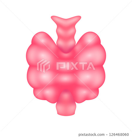 Human thyroid gland internal organ anatomy model isolated on white background. Science and medical concept. For ads about health care. 3D icon vector illustration. 126468060