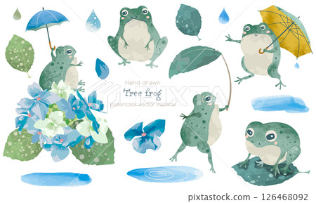 一組圖畫書風格的各種樹蛙的水彩插圖。 126468092