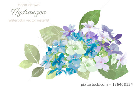 Watercolor hydrangea decorative frame 126468134
