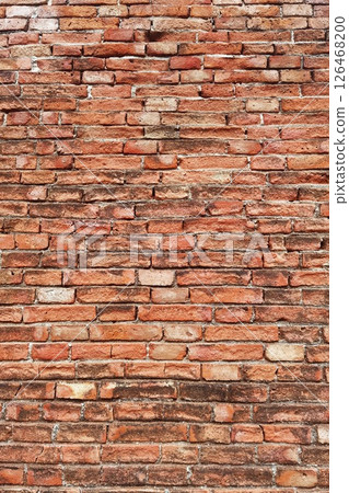 Texture of the brick walls      126468200