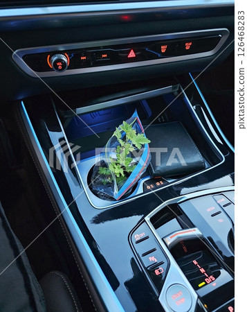 Modern car interior with plant in a plastic bag, luxurious and convenient transportation. Modern car interior with plant in a plastic bag, luxurious and convenient transportation. 126468283