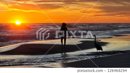 Sunset Serenity Woman and Heron Enjoying a Peaceful Evening Walk on the Beach at Dusk. 126468294
