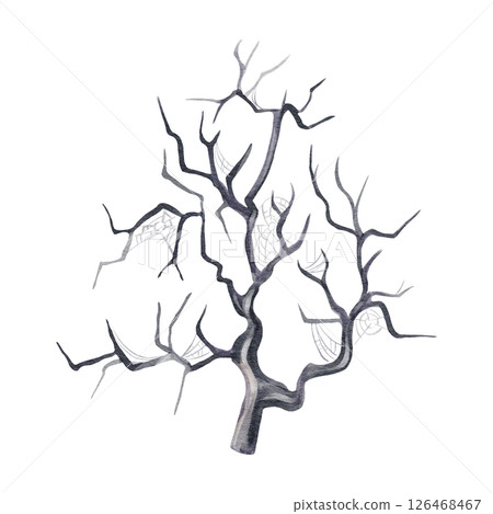 Scary tree with cobweb. creepy forest,Dried branches of a plant, Halloween decor. Gothic dead plant. Watercolor illustration isolated from background. Hand drawn. High quality illustration Scary tree with cobweb. creepy forest,Dried branches of a plant, Halloween decor. Gothic dead plant. Watercolor illustration isolated from background. Hand drawn. High quality illustration 126468467