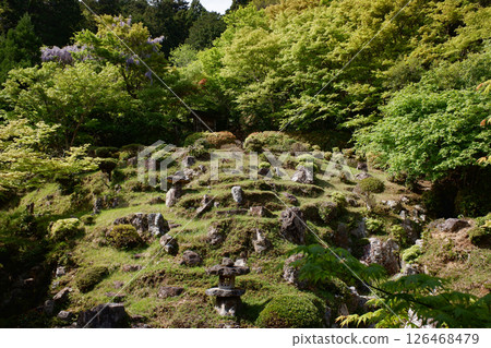 京都府上正寺北條庭園 126468479