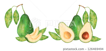 Fruit composition with whole, half and slice of avocado with leaves. Watercolor and marker illustration. Hand drawn isolated clipart. Botanical vegetable sketch for food packaging, juice or menu 126469494
