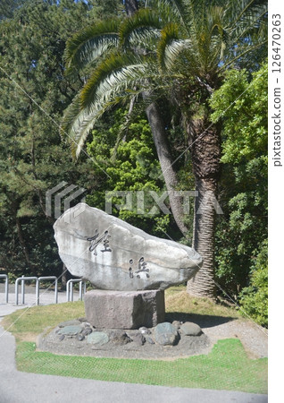 Stone monument of "Katsurahama" (Katsurahama Park/Urato, Kochi City, Kochi Prefecture) 126470263