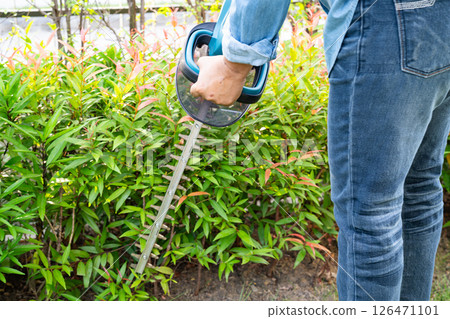 Woman taking care and growing plants, Hobby planting home garden, ornamental pruning. 126471101