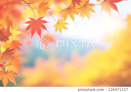 日本的秋天:色彩絢麗的楓樹 日本的秋天:色彩絢麗的楓樹 126471337