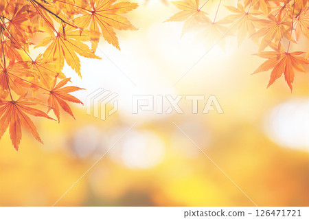 日本的秋天：色彩絢麗的楓樹 126471721