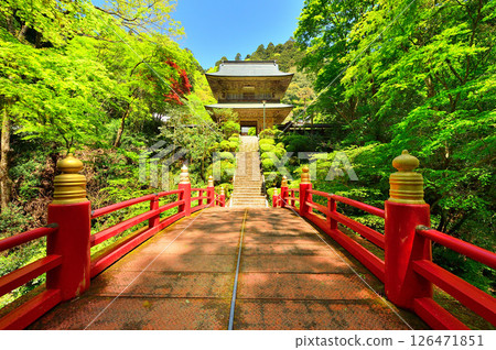 春天的雲巖寺（栃木縣大田原市） 126471851