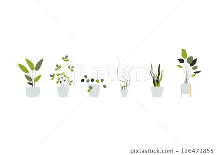 plant in a pot nature garden decoration houseplant green tropical leaf flower. vector collection vegetation foliage leaves botanical design potted interior home. isolated natural botany decor. plant in a pot nature garden decoration houseplant green tropical leaf flower. vector collection vegetation foliage leaves botanical design potted interior home. isolated natural botany decor. 126471855